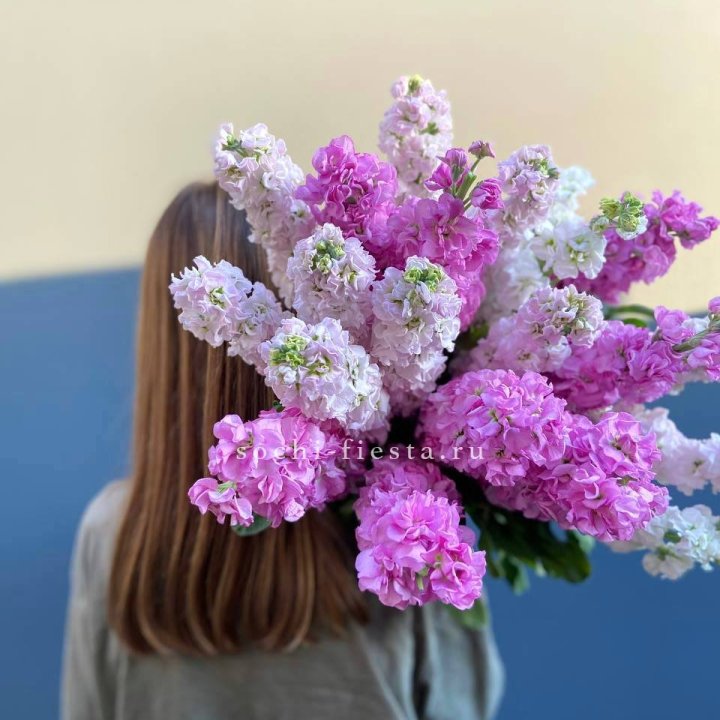 Охапка маттиолы в Владимире