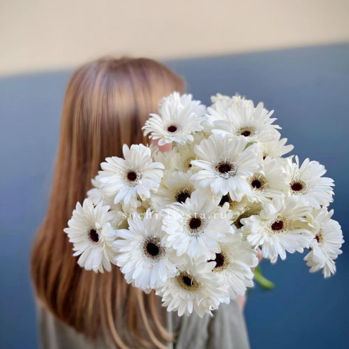 Охапка гербер в Владимире