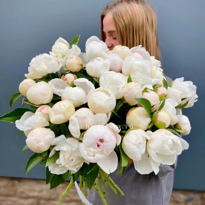 Охапка пионов в Владимире