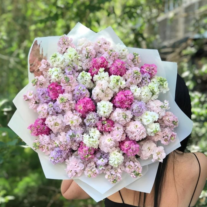 Букет ароматной маттиоллы №3 в Владимире