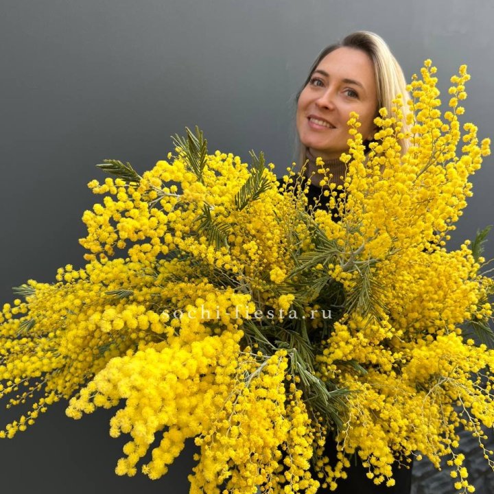 Охапка мимозы №2 в Владимире