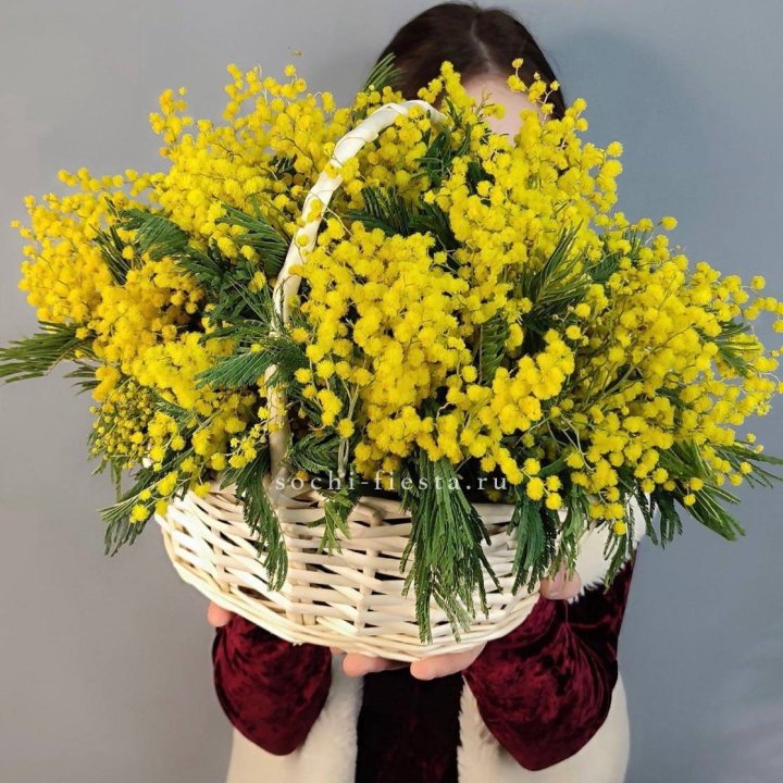 Корзина ароматной мимозы в Владимире