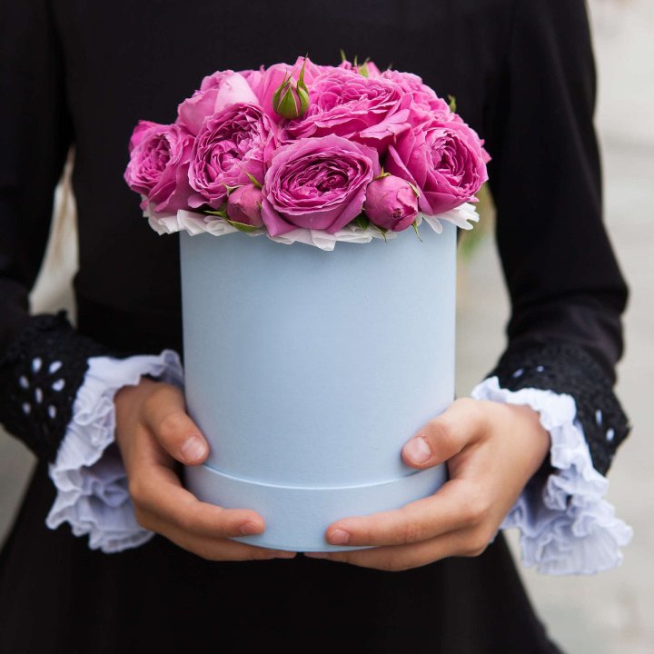 Бокс мини мисти в Владимире