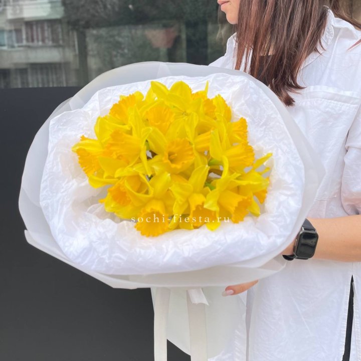 Нарциссы 25 шт в Владимире