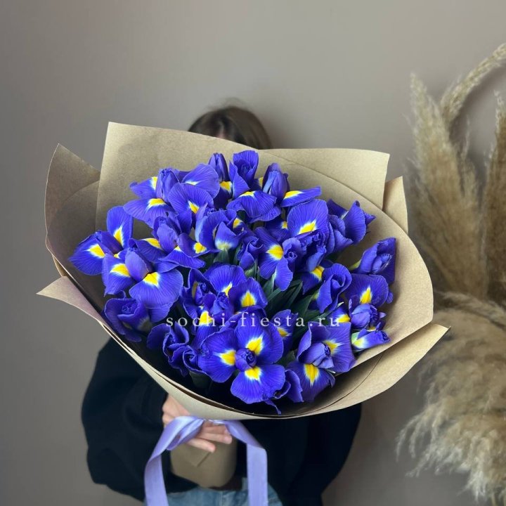 Ирисы в Владимире