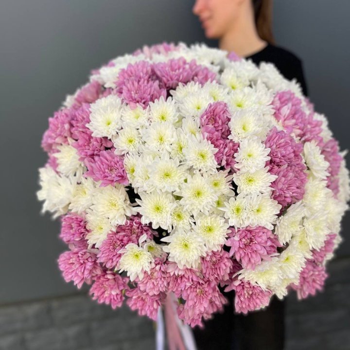  Букет 25 хризантем микс в Владимире