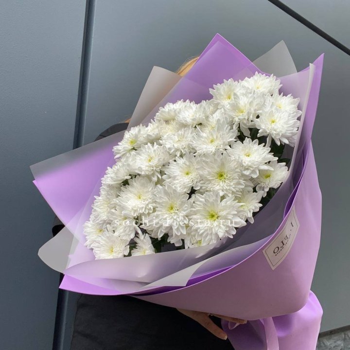  7 хризантем  в Владимире