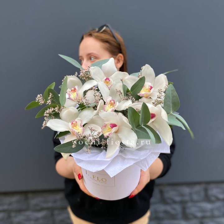 7 орхидей в боксе в Владимире