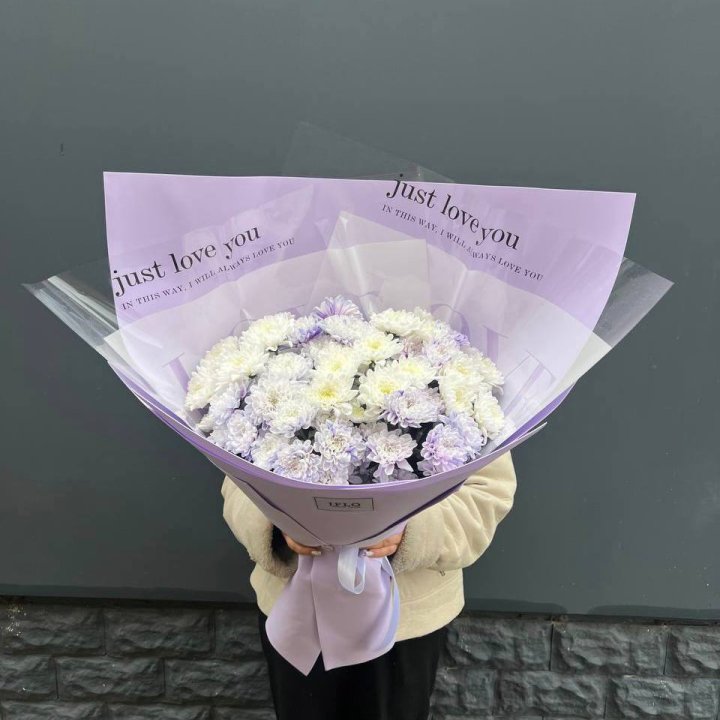 9 воздушных хризантем в Владимире