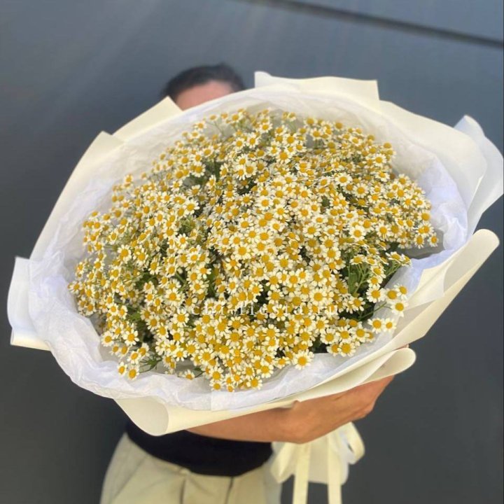Букет ромашек №2 в Владимире
