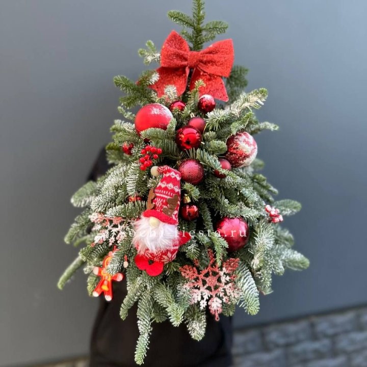 Новогодняя елочка "Ред" в Владимире