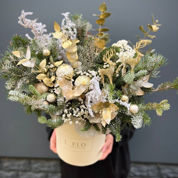 Золотой бокс с нобилисом в Владимире