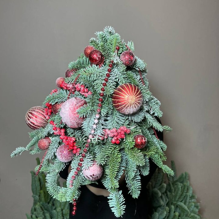 Ёлка красная в Владимире