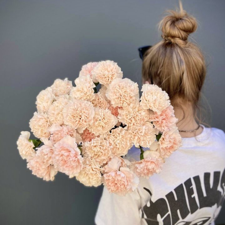 Охапка диантусов  в Владимире