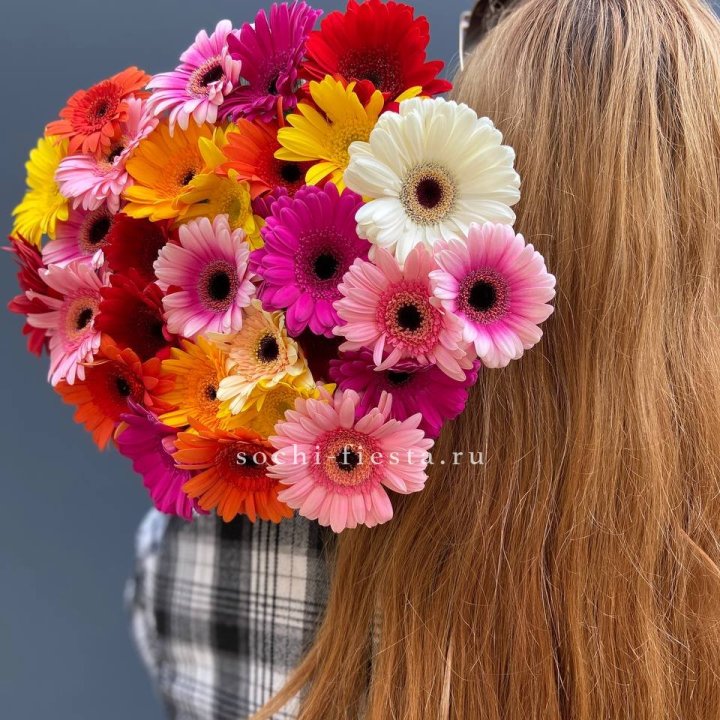 Охапка гербер  в Владимире