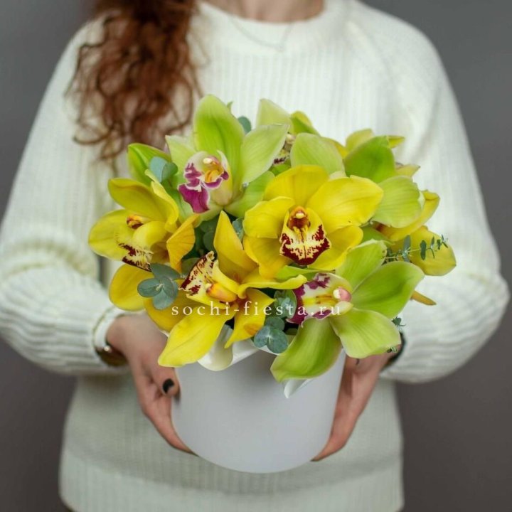 Бокс с орхидей №1 в Владимире