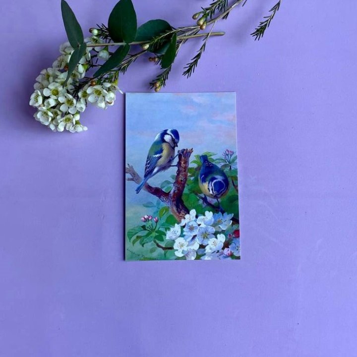 Открытка к букету "Птицы" в Владимире