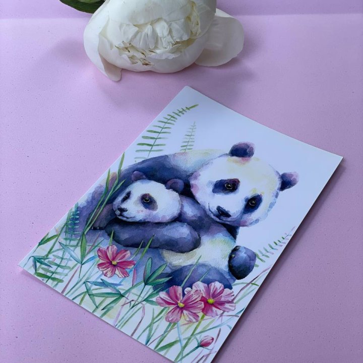 Открытка к букету "Объятие Панды" в Владимире