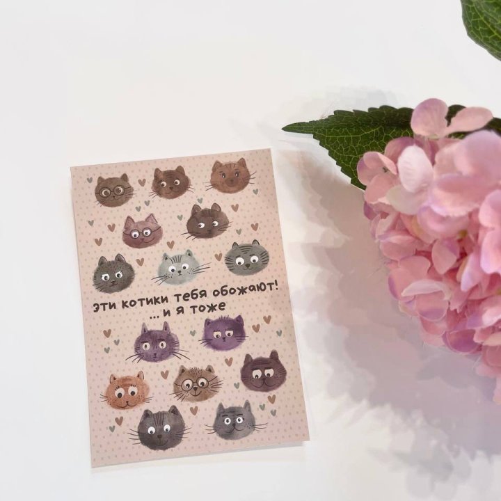 Открытка к букету "Котики" в Владимире