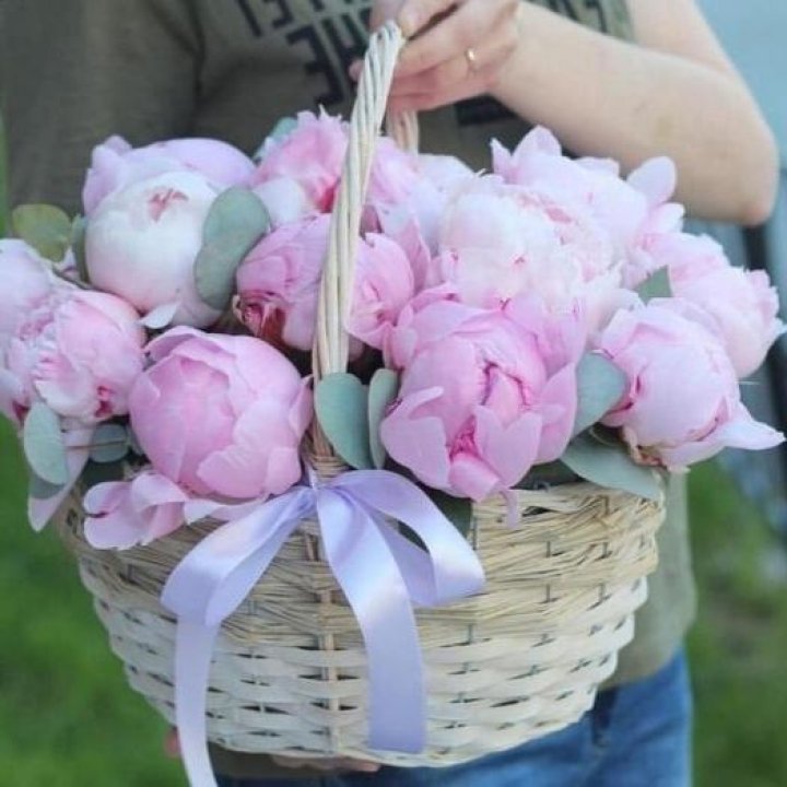 15 пионов в корзине в Владимире