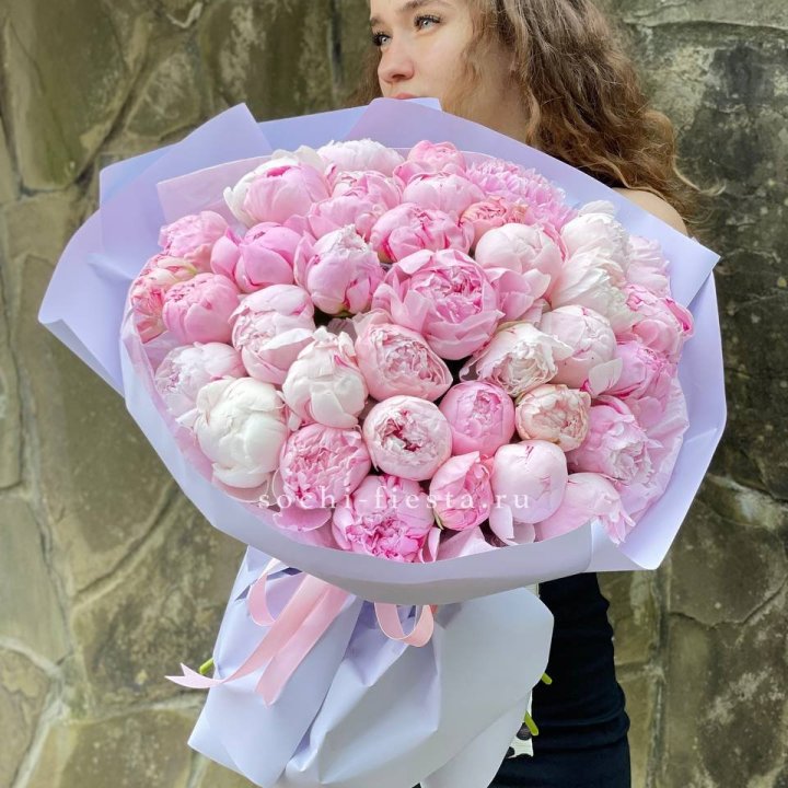 39 нежных пионов в Владимире