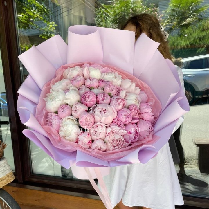 51 розовый пион в Владимире