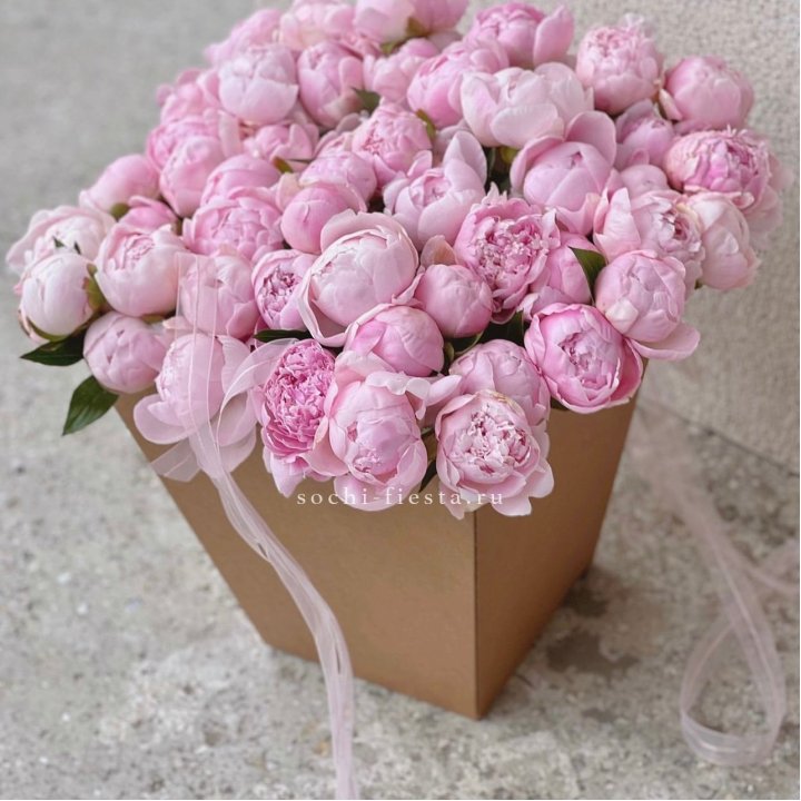 49 пионов в крафт коробке в Владимире