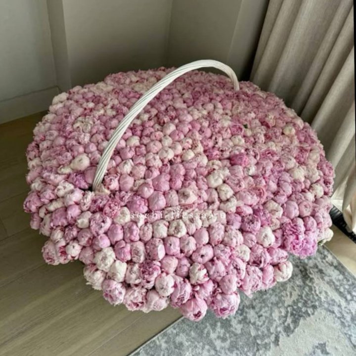 Корзина 555 пионов в Владимире