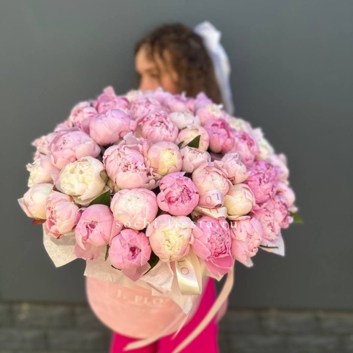 51 нежных пионов  в цилиндре в Владимире