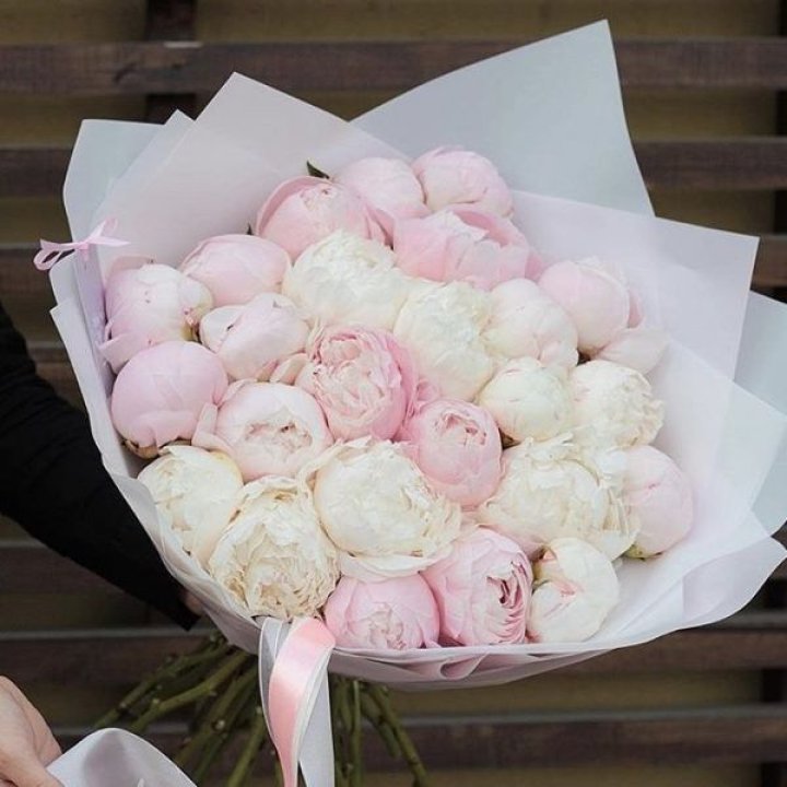 29 пионов в Владимире