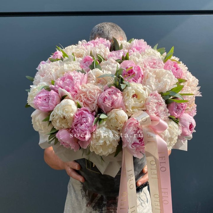 51 пионов в боксе в Владимире