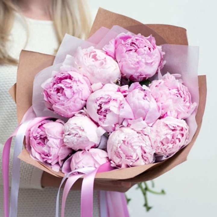 11 нежных пионов в Владимире