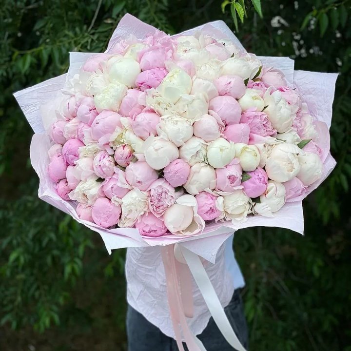 101 пион в Владимире