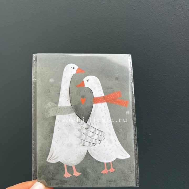 Открытка к букету "Гуси” в Владимире