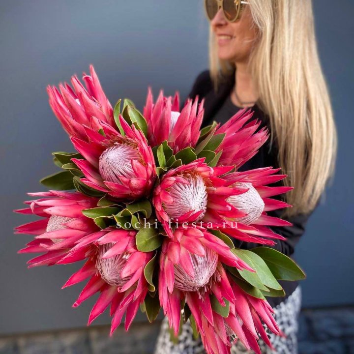 Протея штучно в Владимире
