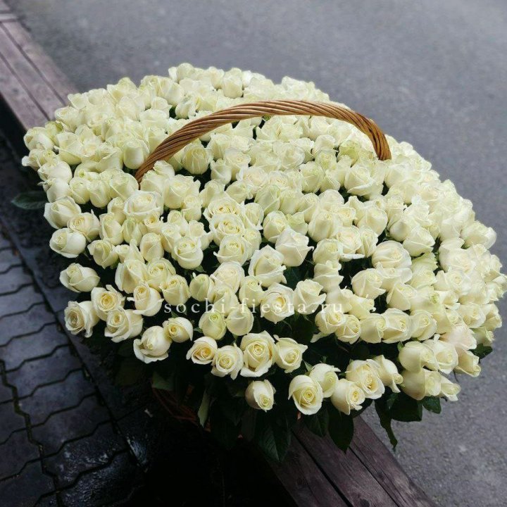 303 розы в корзине в Владимире