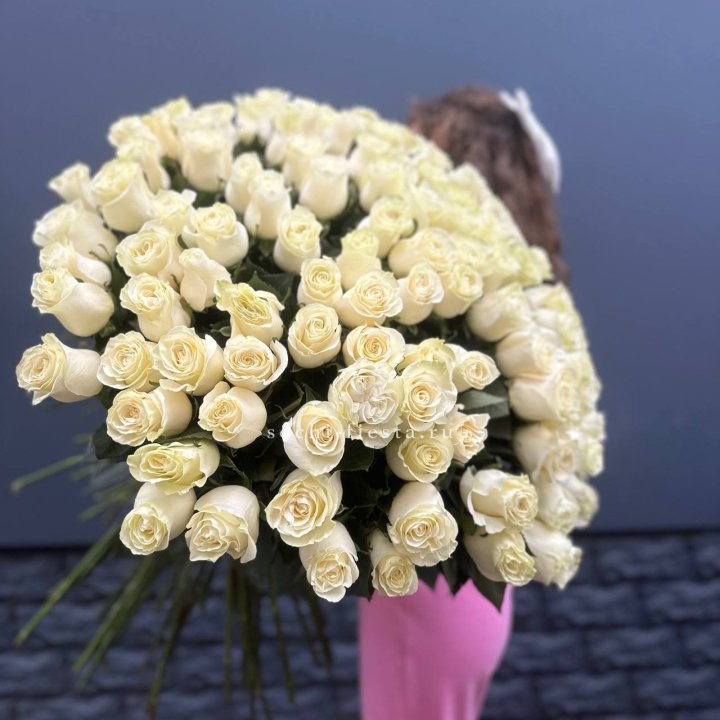 101 белая высокая импортная роза под ленту в Владимире