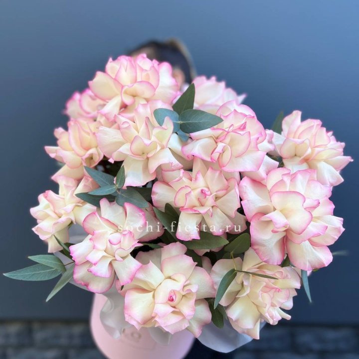 15 Французских роз Джумилия в боксе в Владимире