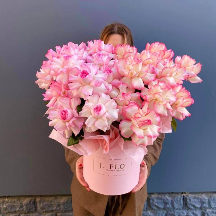 25 Французских роз микс в боксе в Владимире