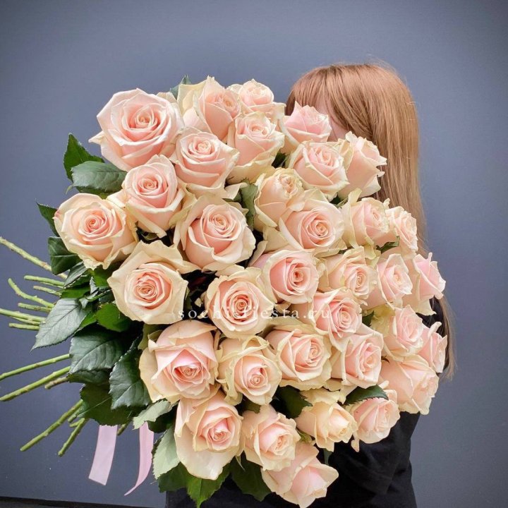 35 кремовых высоких роз в Владимире
