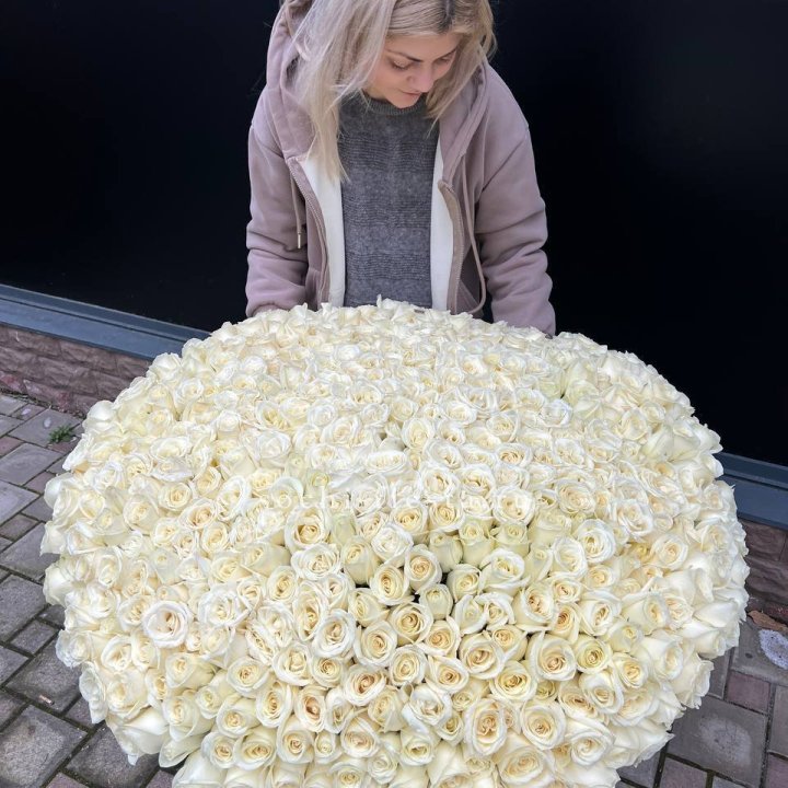 501 белая роза в корзине в Владимире