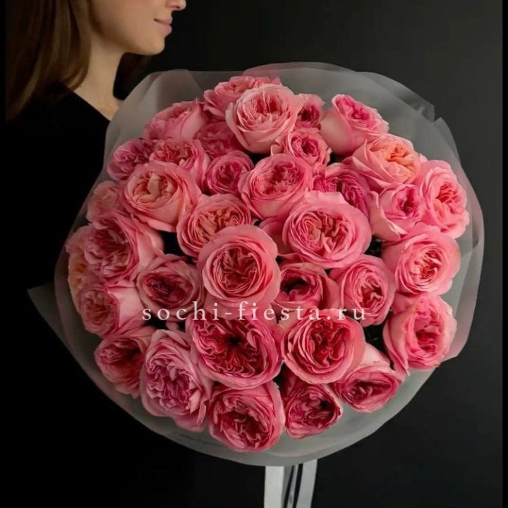 39 Пинк экспрешен  в Владимире