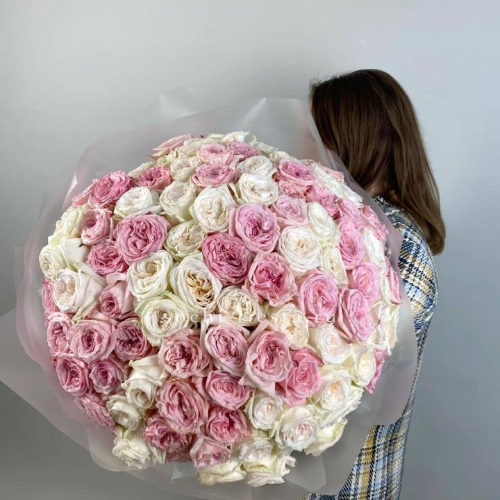 101 роз Охара в Владимире