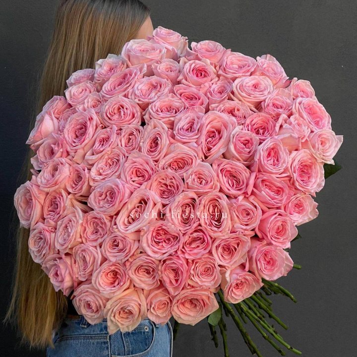 75 роз Охара в Владимире