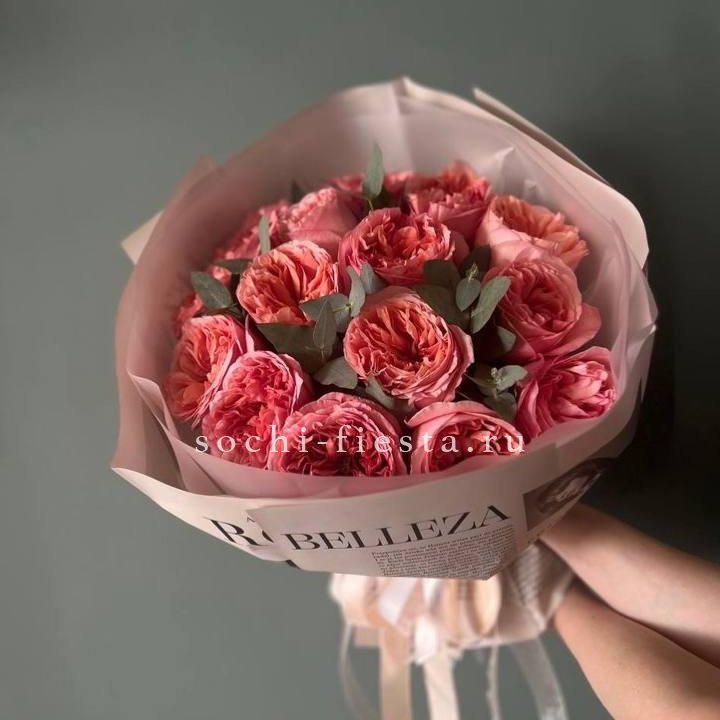 15 Пинк экспрешен в Владимире