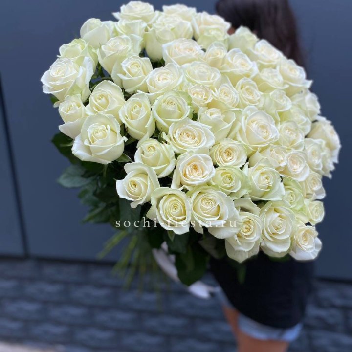 51 белоснежная высокая роза в Владимире