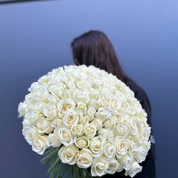 Охапка из 101 белой розы  в Владимире