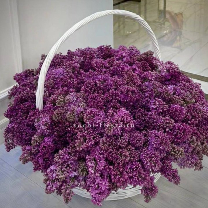 Корзина сирени в Владимире