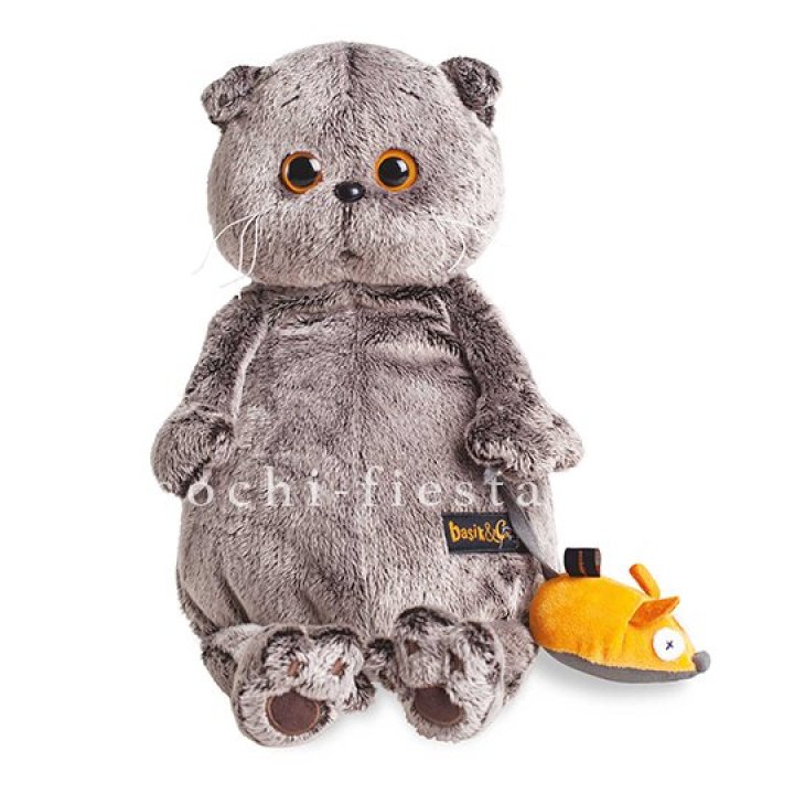 Кот Басик с мышкой в Владимире