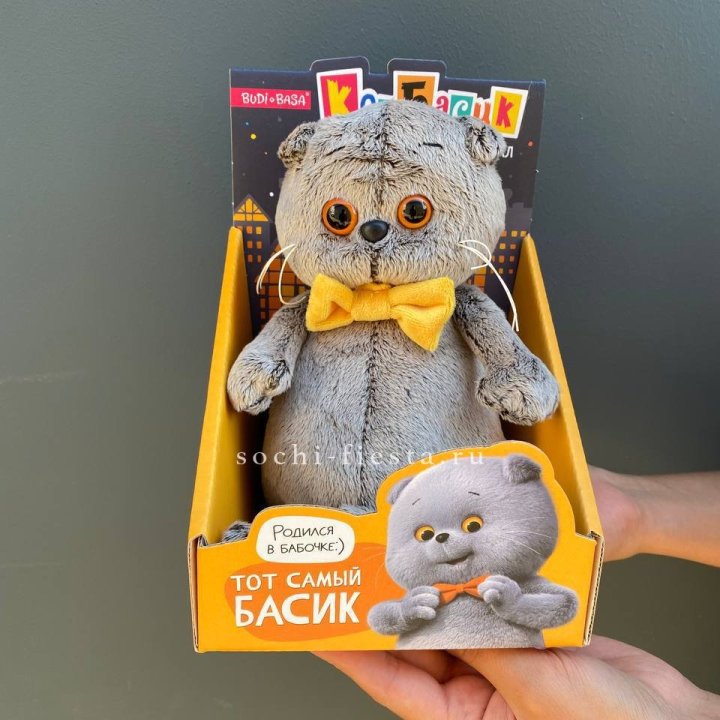 Кот Басик с бабочкой в Владимире